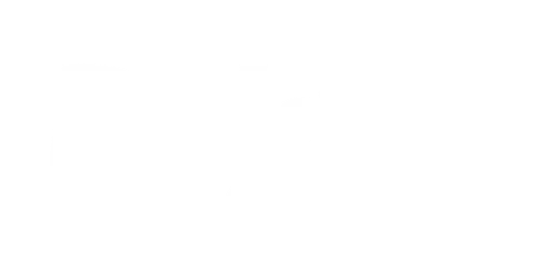 logo-roldao